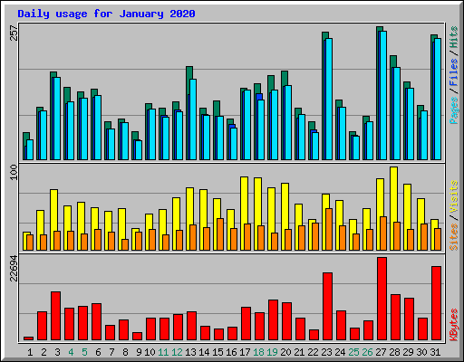 Daily usage for January 2020