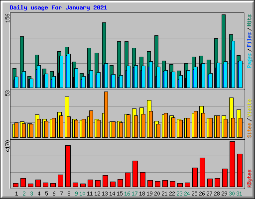Daily usage for January 2021