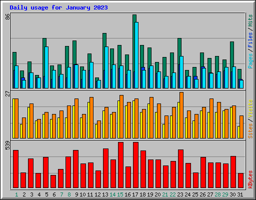 Daily usage for January 2023