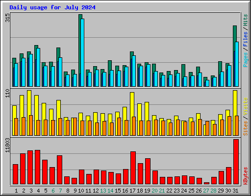 Daily usage for July 2024