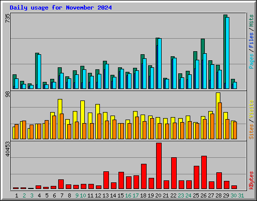 Daily usage for November 2024