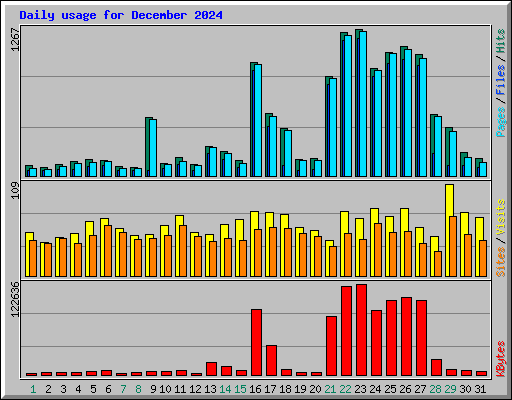 Daily usage for December 2024