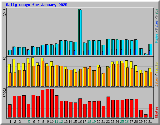 Daily usage for January 2025