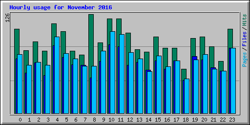 Hourly usage for November 2016