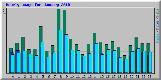 Hourly usage for January 2019