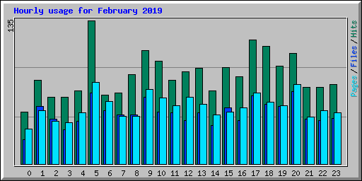 Hourly usage for February 2019