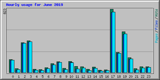 Hourly usage for June 2019