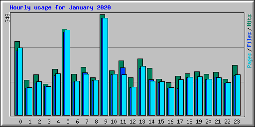 Hourly usage for January 2020