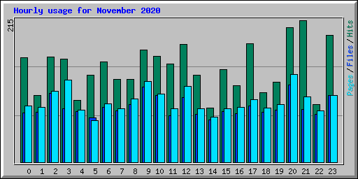 Hourly usage for November 2020