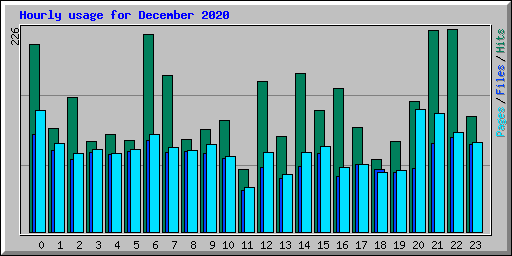 Hourly usage for December 2020