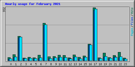 Hourly usage for February 2021