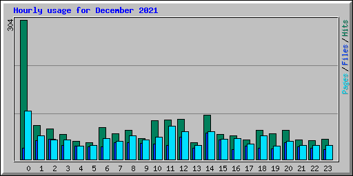 Hourly usage for December 2021