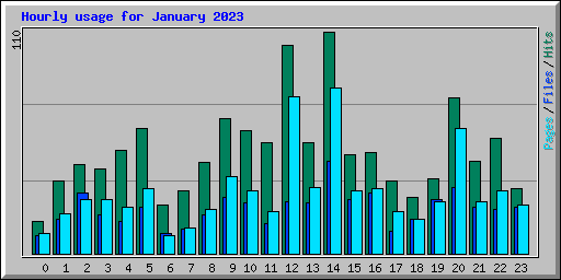 Hourly usage for January 2023