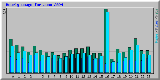 Hourly usage for June 2024