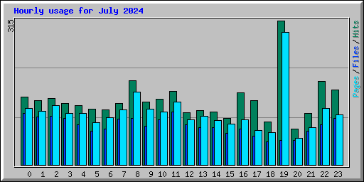 Hourly usage for July 2024