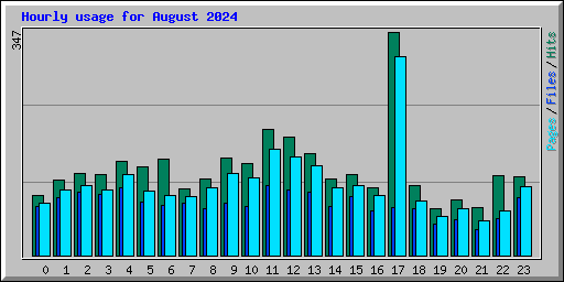 Hourly usage for August 2024