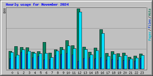 Hourly usage for November 2024