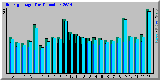 Hourly usage for December 2024
