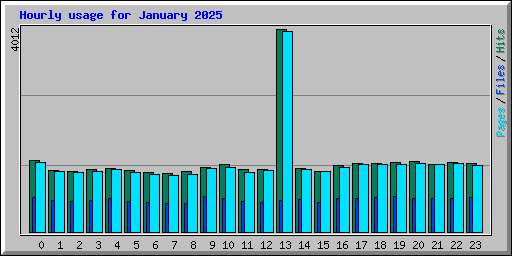 Hourly usage for January 2025