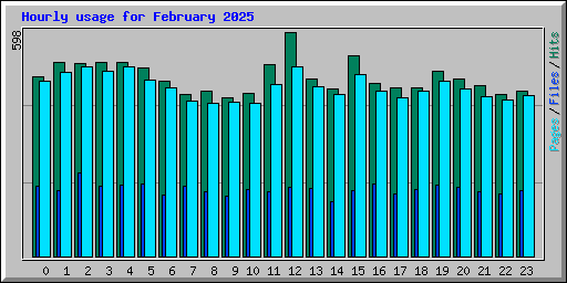 Hourly usage for February 2025