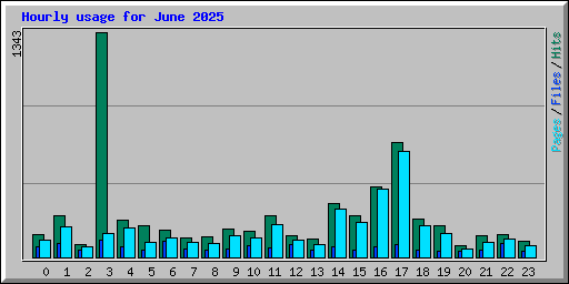 Hourly usage for June 2025
