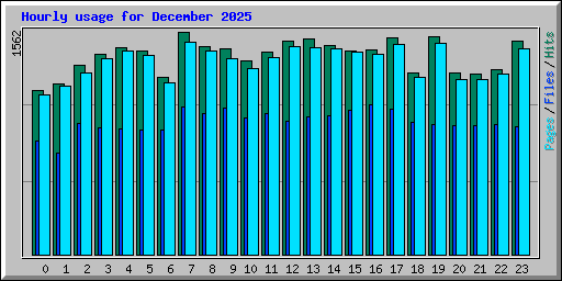 Hourly usage for December 2025