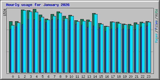 Hourly usage for January 2026